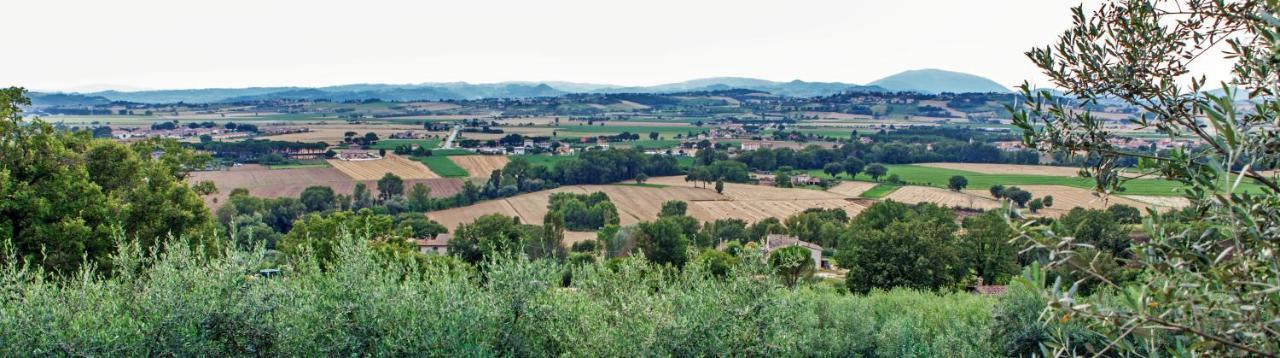 Agriturismo La Palazzetta Di Assisi Villa Bagian luar foto